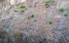 山體柔性邊坡防護(hù)網(wǎng)