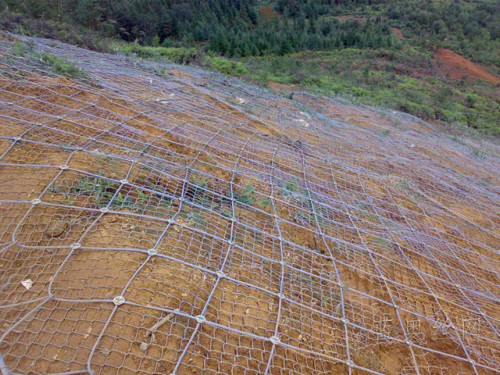 蜘蛛網(wǎng)施工圖片