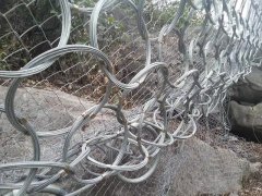 環(huán)形網(wǎng) 防落石防護(hù)網(wǎng) 山體綠化防護(hù)網(wǎng)生產(chǎn)廠家